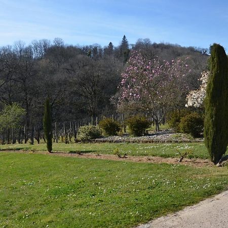 La Vigneraie Albiac Exterior foto