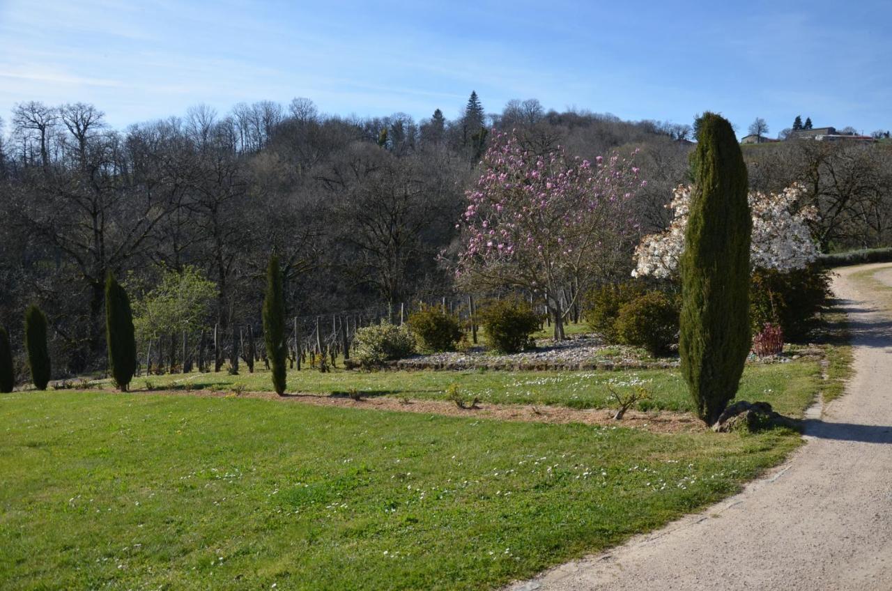 La Vigneraie Albiac Exterior foto